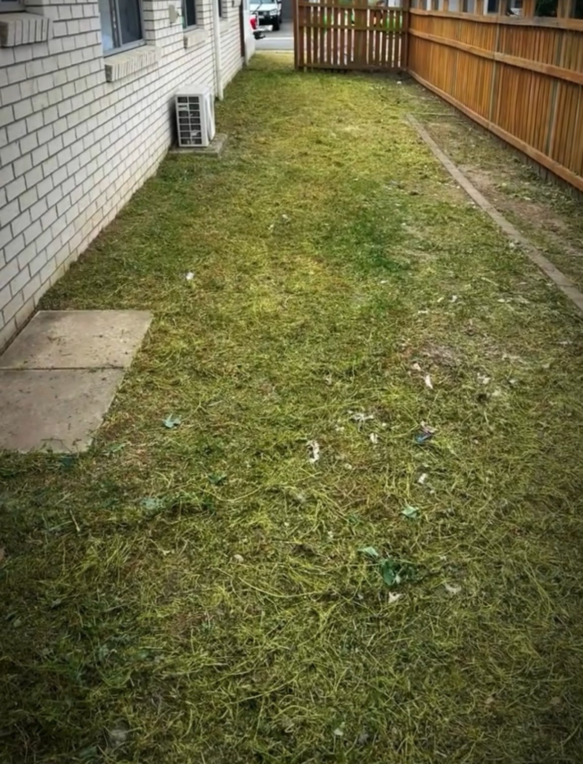 Side yard after vegetation was cleared